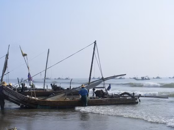 Ra bien danh bat ca, con tu vong, cha mat tich