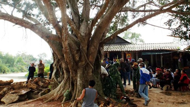 Khi đưa lên mặt đất, 3 bức tượng trong tư thế ngồi thiền, cao khoảng từ 0,5 đến 0,7 m, nặng khoảng 40 kg; 1 tượng đồng nhỏ cao khoảng 30 cm, nặng 2 - 3 kg và một số mẫu vật khác. Chùa Hoằng Phúc có tên là chùa Kính Thiên (hay còn gọi là chùa Quan), tọa lạc tại thôn Thuận Trạch (xã Mỹ Thủy). Ngôi chùa này từng được vua Trần Nhân Tông ghé thăm trên đường viễn du Chiêm Thành.