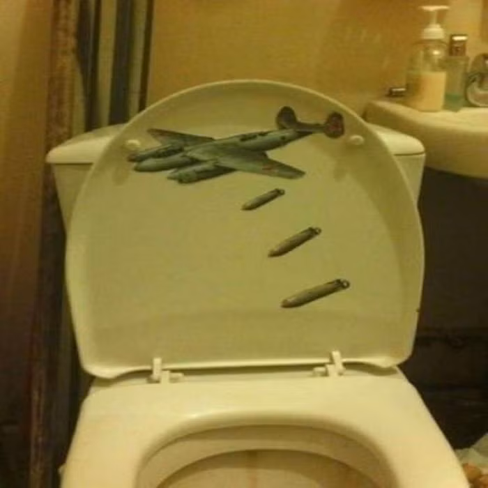 Nắp bồn cầu này có thể nói là độc nhất vô nhị. Ảnh: ER.