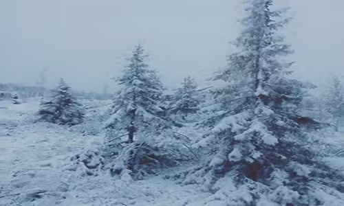 Một hình ảnh khác lột tả thời tiết bất thường ở nước Nga. Ảnh: ER.