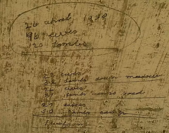 Những dòng chữ được viết trên tường vẫn còn trong khu trại giam. Ảnh: The Sun.