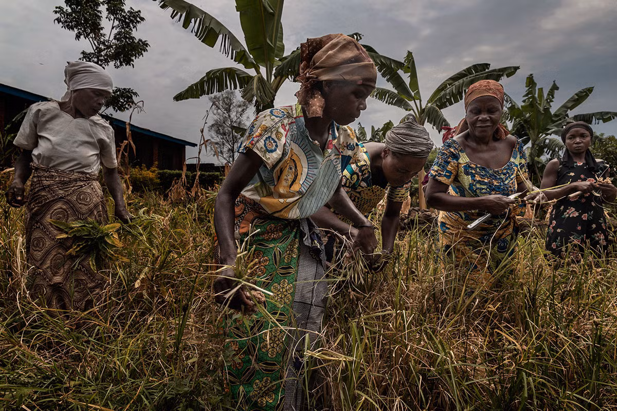 Một “hợp tác xã” do AVIS, tổ chức phi chính phủ của Italy, thành lập vào năm 2011 đã cung cấp việc làm cho hàng chục phụ nữ “dễ bị tổn thương”, trong đó có nhiều người đã bị tấn công tình dục.