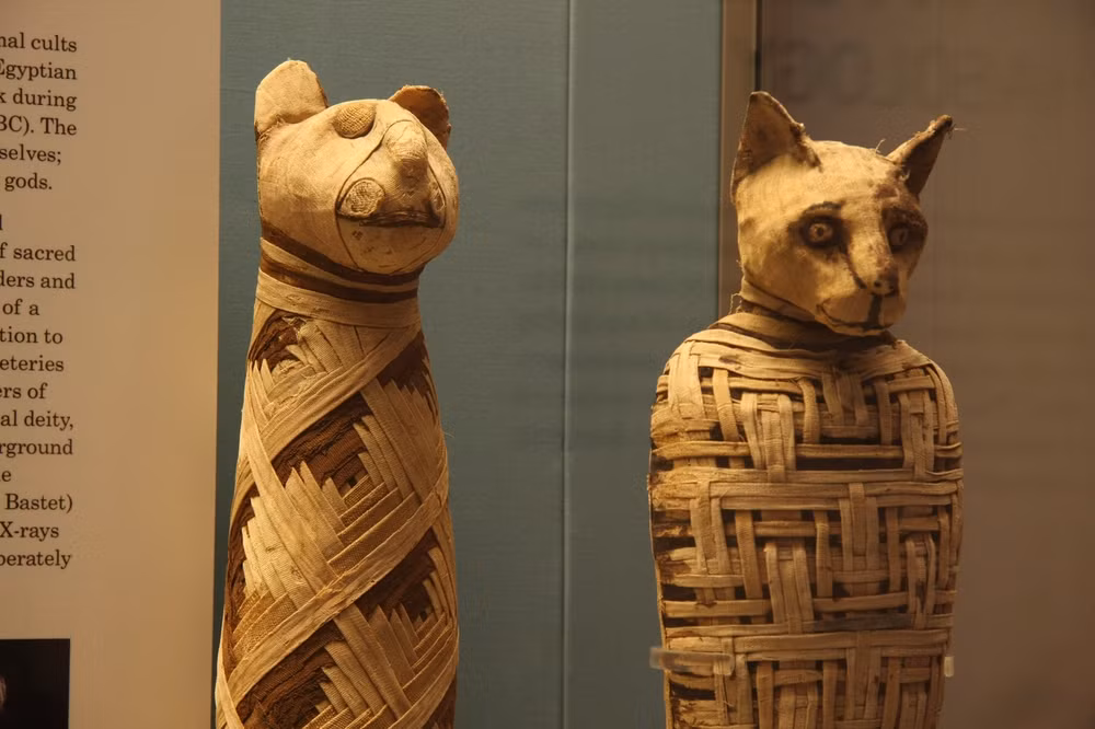 10 bi an chua loi giai ve Ai Cap co dai