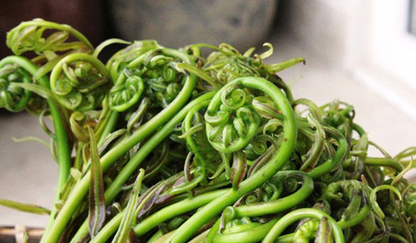 Vậy nhưng, tiêu thụ lượng lớn, thời gian dài những chất trên mới tăng nguy cơ ung thư. Hơn nữa, ung thư thường là kết quả tổng hợp của nhiều yếu tố. Nói ăn dương xỉ 100% gây ung thư là phóng đại. Ăn lượng nhỏ, thi thoảng ăn sẽ không gây bệnh. (Ảnh minh họa)