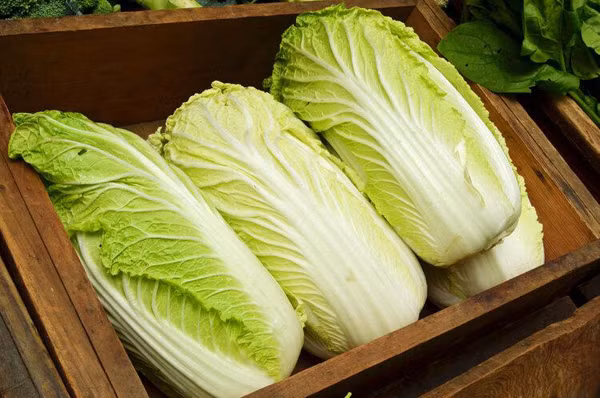 Mặc dù formaldehyde dễ tan trong nước, dễ bay hơi song vẫn có thể tồn đọng trên rau, tiềm ẩn mối nguy sức khỏe. Khi đi vào cơ thể, formaldehyde gây kích ứng niêm mạc đường hô hấp, mắt; gây ra các triệu chứng như ho, hen suyễn, hắt hơi, đau họng, thậm chí gây ung thư vòm họng. (Ảnh: 39Health)