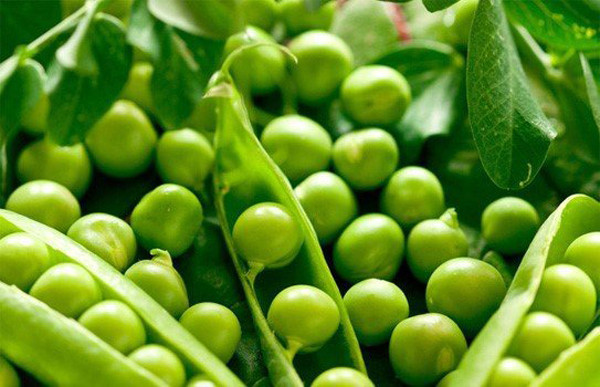 4. Đậu lăng sống. Đậu lăng chứa thành phần lectin. Nếu ăn sống, lectin trong đậu có thể làm tăng nguy cơ ngộ độc thực phẩm. Vì vậy, bạn nên chế biến đậu lăng chín kỹ rồi mới thưởng thức, tránh những rủi ro không đáng có. (Ảnh minh họa)