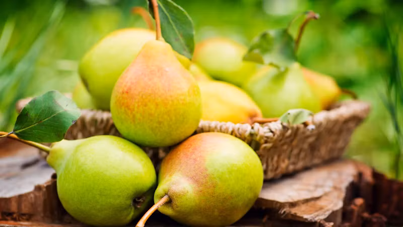 1. Lê. Lê là một loại trái cây giảm cân với hàm lượng nước rất dồi dào (khoảng 86%), và lượng calo chỉ có 50 calo/100 gam. Vì vậy, ăn lê thường xuyên có thể bổ sung lượng nước bị mất do đổ mồ hôi. (Ảnh: Shutterstock)