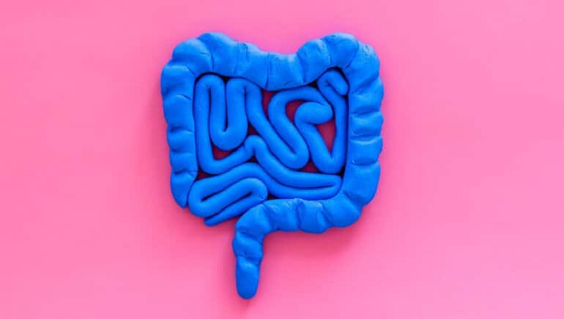 Đi tiêu giúp loại bỏ các độc tố có hại ra khỏi cơ thể. Tuy nhiên, nếu bạn khó đi tiêu do táo bón, nó có thể dẫn đến một loạt các vấn đề sức khỏe khác. Trong trường hợp này, một số biện pháp khắc phục tại nhà có thể giải cứu bạn và đảm bảo hệ tiêu hóa hoạt động tốt. (Ảnh: Shutterstock)