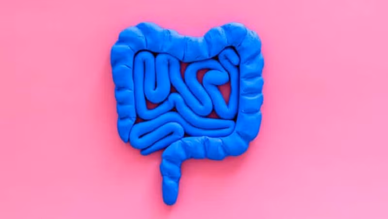 Đi tiêu giúp loại bỏ các độc tố có hại ra khỏi cơ thể. Tuy nhiên, nếu bạn khó đi tiêu do táo bón, nó có thể dẫn đến một loạt các vấn đề sức khỏe khác. Trong trường hợp này, một số biện pháp khắc phục tại nhà có thể giải cứu bạn và đảm bảo hệ tiêu hóa hoạt động tốt. (Ảnh: Shutterstock)