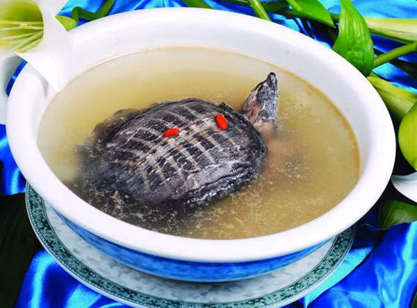 Đặc biệt, lượng collagen dồi dào trong thịt rùa rất hữu ích trong việc dưỡng da, giúp da khỏe mạnh và căng bóng. (Ảnh: Sohu)