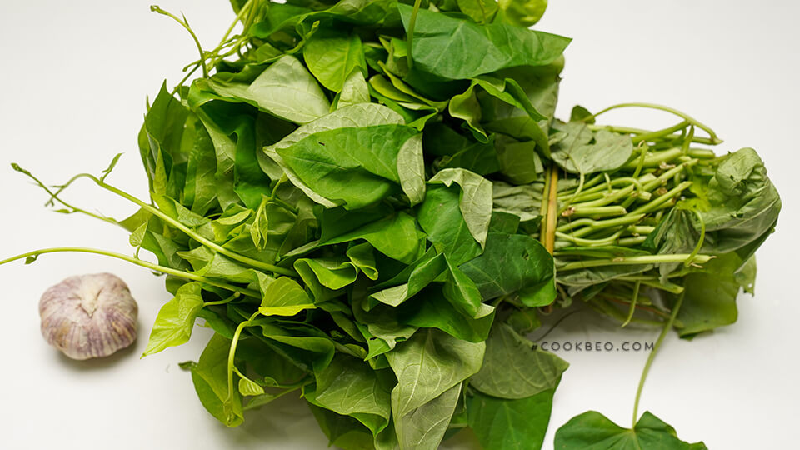 Cách làm món rau lang trộn. Chuẩn bị các nguyên liệu: Lá khoai lang, tỏi, ớt, muối, dầu ăn, dầu hào, nước tương, nước. Ảnh: Cookbeo.com.