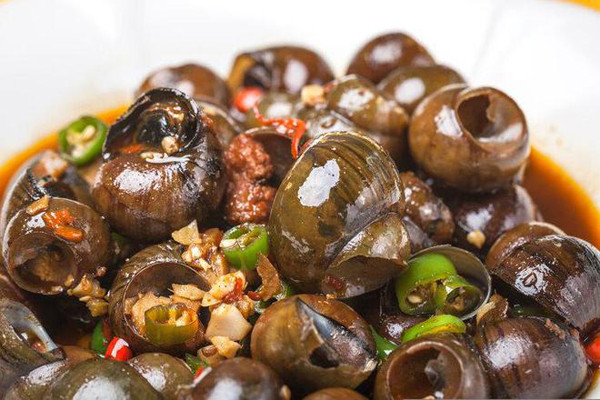 Ốc. Ốc cũng được ví là “ổ” ký sinh trùng cần cảnh giác. Ước tính, một chú ốc trưởng thành trong môi trường tự nhiên có thể chứa tới 3.000 ấu trùng Angiostrongylus cantonensis. Nhiễm loại ký sinh này, người bệnh sẽ đau đầu, sốt, cứng cổ, khó chịu... Trường hợp nghiêm trọng có thể gây mất trí, tử vong. (Ảnh: Wonderful Materia Medica)