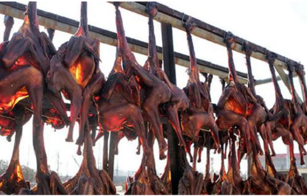 Đến Tây Tạng những ngày cuối năm, nhiều người yếu tim chứng kiến cảnh tượng hàng trăm con gà “rên rỉ” vì đau đớn đã không kìm được sự sợ hãi.