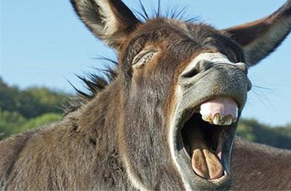 Thậm chí, nhiều ý kiến chỉ trích món ăn kinh dị ra đời không vì mục đích ăn uống. Nó là sự “lên ngôi” của sự ích kỷ, tàn nhẫn. Trong xã hội văn minh, khó có thể chấp nhận việc nhìn con vật đau đớn để tìm kiếm niềm vui.