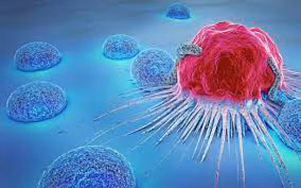 Để đưa ra kết luận trên, các nhà khoa học từng theo dõi tình trạng sức khỏe của 171.274 nam giới và 122.826 phụ nữ. Khảo sát kiểm tra sự khác biệt về nguy cơ mắc 21 loại ung thư của những người tham gia trong độ tuổi từ 50-71. (Ảnh: Cancerbenefits) 