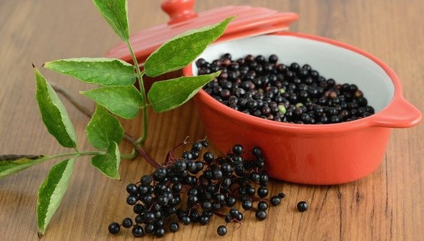 Spencer cũng tiết lộ, kết quả nghiên cứu chỉ ra lợi ích sức khỏe của chiết xuất từ quả này rất nhỏ. Nó được thực hiện bởi chính các công ty bán sản phẩm từ quả cơm cháy nên tính xác thực cần quan tâm. Thêm vào đó, nhiều sản phẩm chứa chiết xuất quả cơm cháy có thông tin thành phần sai lệch. Những chất này đôi khi không tinh khiết, bị pha loãng hoặc thậm chí không chứa thành phần của quả cơm cháy. Thay vào đó, người ta sử dụng chiết xuất từ gạo đen. (Ảnh minh họa)