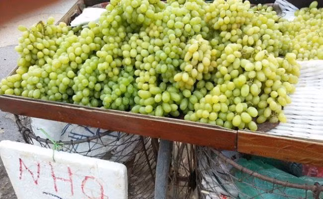 Tầm tháng 9 năm ngoái, nho xanh không hạt gắn mác Ninh Thuận được bán đầy chợ và đường phố TP.HCM với giá 50.000-60.000 đồng một kg.