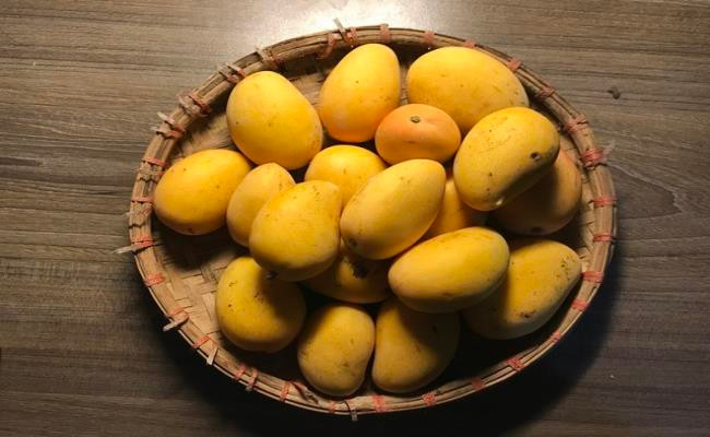 Một chủ sạp bán trái cây ven đường tại một chợ ở Hà Nội cho biết, mỗi ngày chị bán sấp xỉ 1 tạ xoài mini.