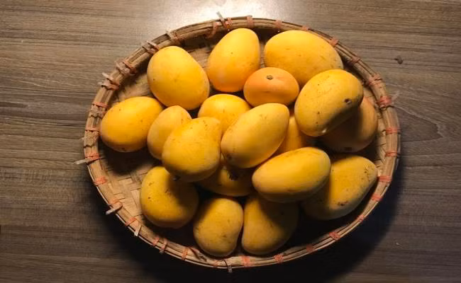 Một chủ sạp bán trái cây ven đường tại một chợ ở Hà Nội cho biết, mỗi ngày chị bán sấp xỉ 1 tạ xoài mini.