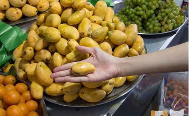 Năm 2020, xoài mini Trung Quốc rộ mùa, nguồn hàng nhiều nên giá sản phẩm giảm mạnh. Loại này được trồng nhiều ở đảo Hải Nam.