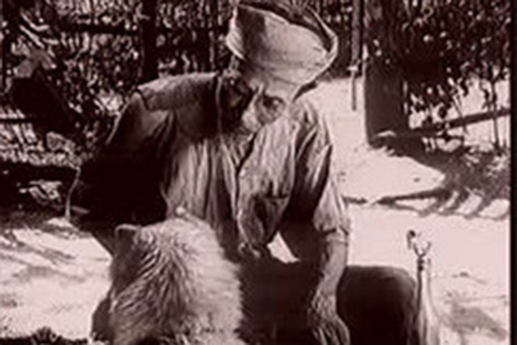 Trong phim, “cậu Vàng” không chỉ là một chú chó mà còn là biểu tượng của sự cùng khổ. Ảnh: Vietnamnet