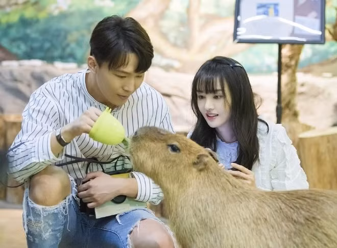 Ro nghi van Trinh Sang co hai con voi tinh cu Truong Hang-Hinh-2