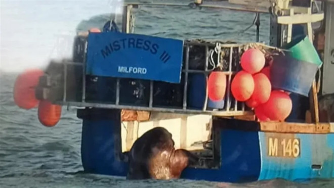 Hai ma troi dat tu Bac Cuc toi Ireland, qua giang tau thuy ve nha