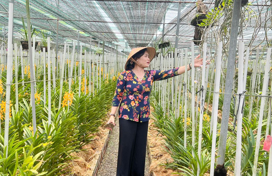 Nông dân Bình Dương thoát nghèo nhờ loài hoa quý tộc Nong dan Binh Duong thoat ngheo nho loai hoa quy toc