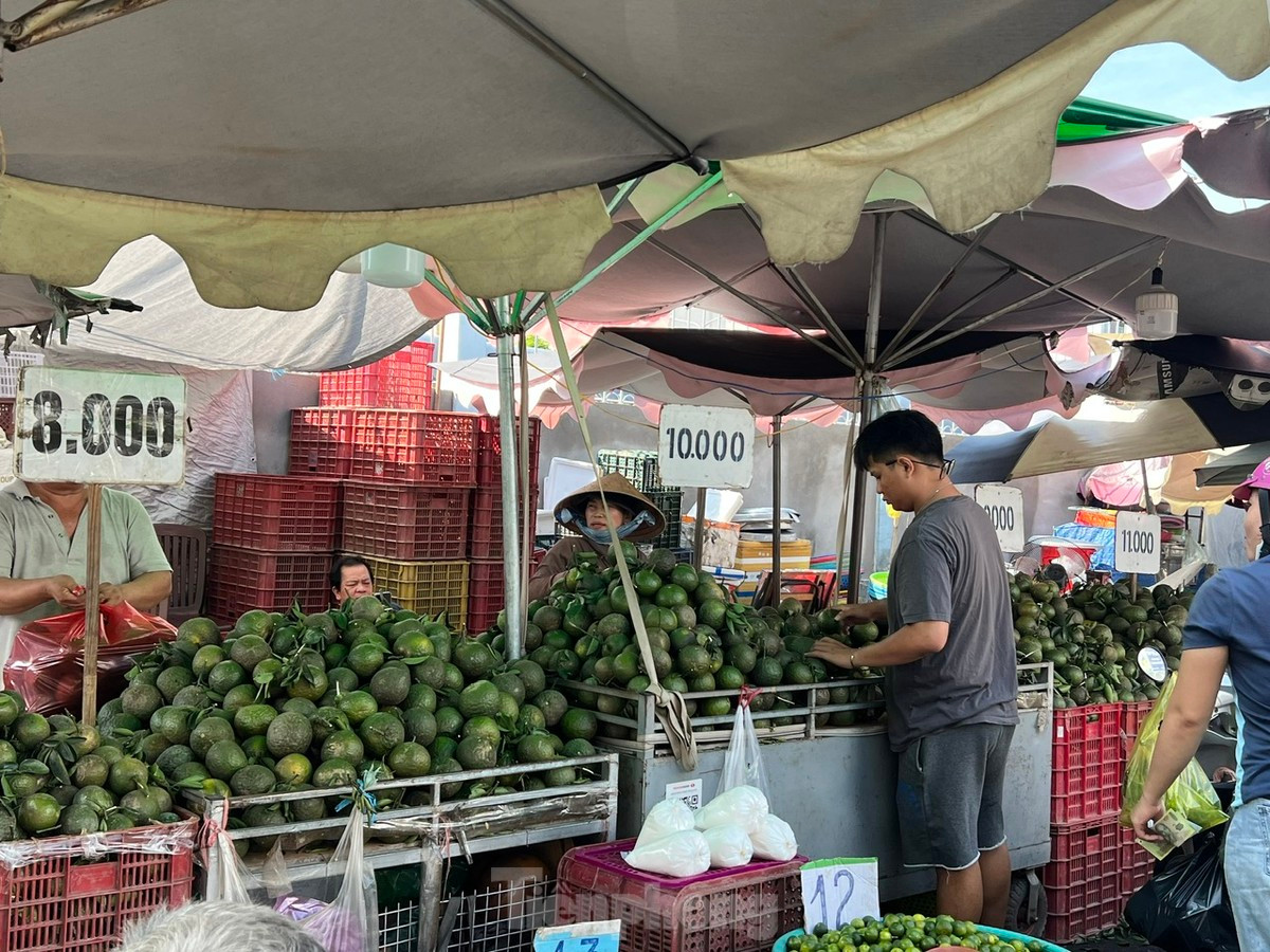 Cam sành rớt giá thê thảm ở TPHCM, chỉ còn 5.000 đồng/kg - Hình 3 Cam sanh rot gia the tham o TPHCM, chi con 5.000 dong/kg -Hinh-3