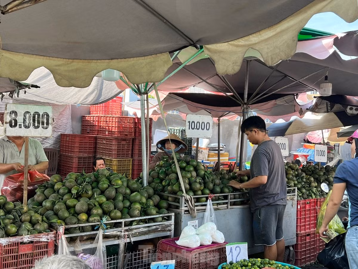 Cam sanh rot gia the tham o TPHCM, chi con 5.000 dong/kg ​-Hinh-3
