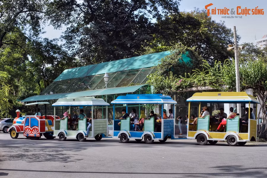  12. Sự kiện và lễ hội. Thảo Cầm Viên thường tổ chức các sự kiện lớn như Ngày hội động vật, Hội hoa xuân, thu hút sự tham gia của đông đảo người dân và khách du lịch.