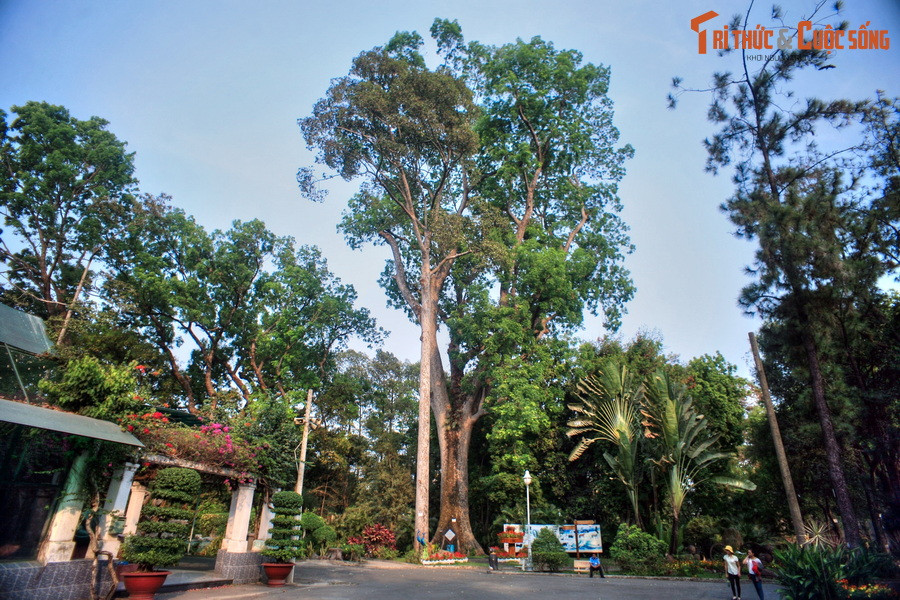  14. Lá phổi xanh quý giá. Thảo Cầm Viên không chỉ là nơi giải trí mà còn là biểu tượng lịch sử, văn hóa, và giáo dục. Đây là một "lá phổi xanh" quý giá giữa lòng thành phố nhộn nhịp, góp phần kết nối con người với thiên nhiên.