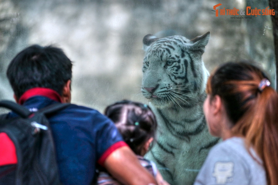  11. Phim trường tự nhiên. Thảo Cầm Viên đã trở thành bối cảnh cho nhiều bộ phim, MV ca nhạc, và chương trình truyền hình nổi tiếng tại Việt Nam.