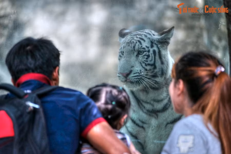  11. Phim trường tự nhiên. Thảo Cầm Viên đã trở thành bối cảnh cho nhiều bộ phim, MV ca nhạc, và chương trình truyền hình nổi tiếng tại Việt Nam.