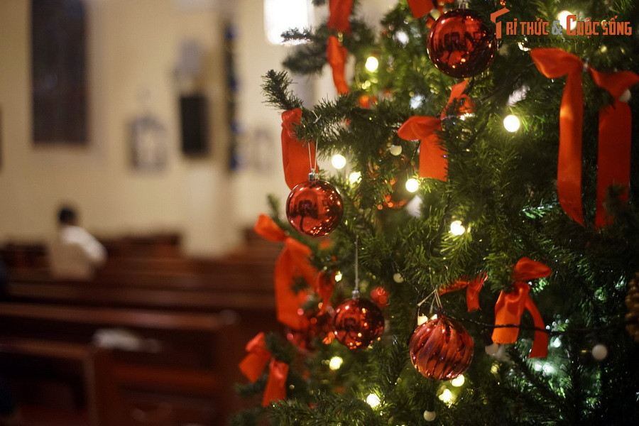 Ngày nay, nhà thờ Chính tòa Ðà Lạt là một trong những địa điểm tham quan nổi bật của thành phố Đà Lạt. Nơi đây thu hút rất đông khách du lịch vào các ngày lễ lớn, đặc biệt là dịp Giáng sinh và năm mới.