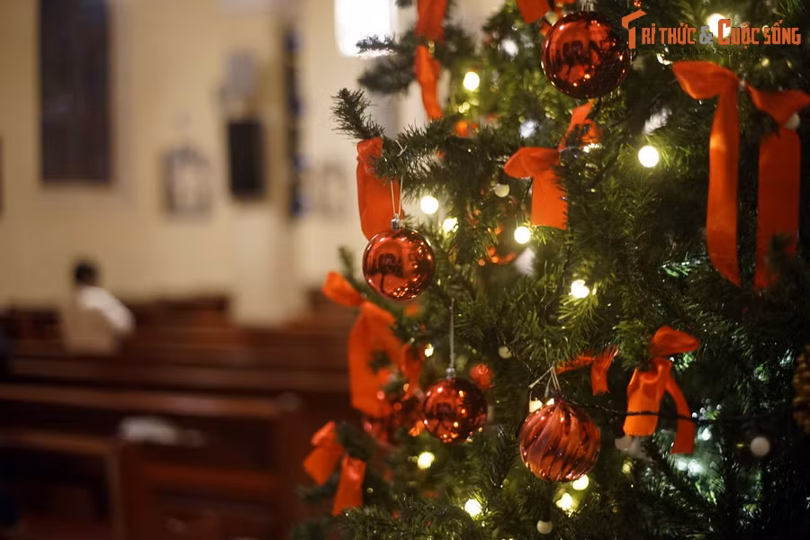 Ngày nay, nhà thờ Chính tòa Ðà Lạt là một trong những địa điểm tham quan nổi bật của thành phố Đà Lạt. Nơi đây thu hút rất đông khách du lịch vào các ngày lễ lớn, đặc biệt là dịp Giáng sinh và năm mới.