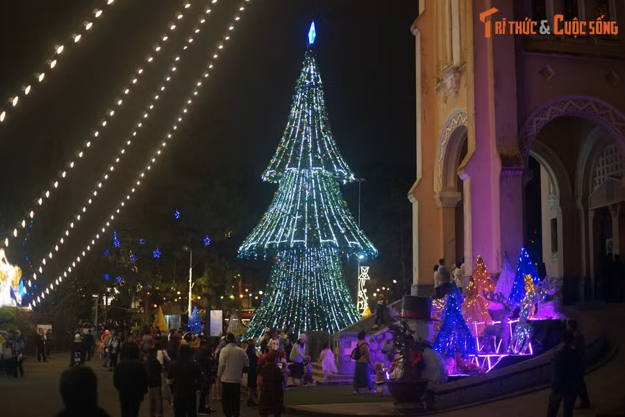 Một cây thông lớn được dựng bên sảnh chính nhà thờ.