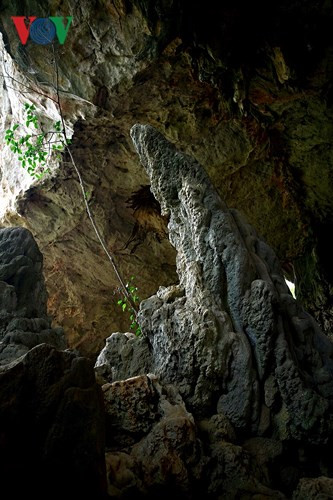 Hang Dơi được thiên nhiên kiến tạo thành ba phần chính, được người dân nơi đây mô phỏng và ví như một con rồng với đầu rồng, thân rồng và đuôi rồng. Trong hang là những không gian kỳ diệu với vô số những điêu khắc tuyệt mỹ của của tạo hoá. Ảnh: Khối đá nằm giữa cửa hang được gọi là ”lưỡi rồng”.