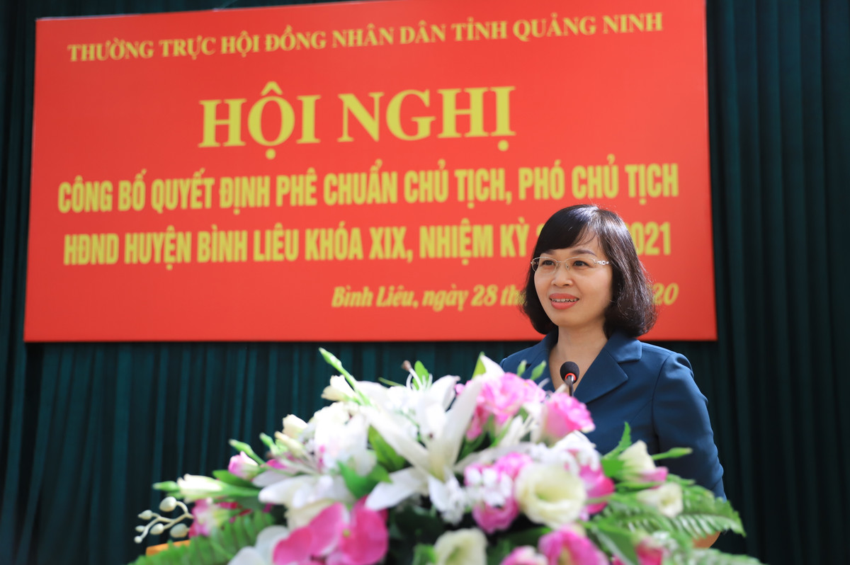 Bà từng trải qua nhiều vị trí công tác tại Sở Tài chính Quảng Ninh; Phó Bí thư Thành ủy Hạ Long, Chủ tịch Hội LHPN tỉnh Quảng Ninh; Ủy viên Ban Thường vụ Tỉnh ủy, Giám đốc Sở Tài chính; Đại biểu HĐND tỉnh Quảng Ninh các khóa XII, XIII. 