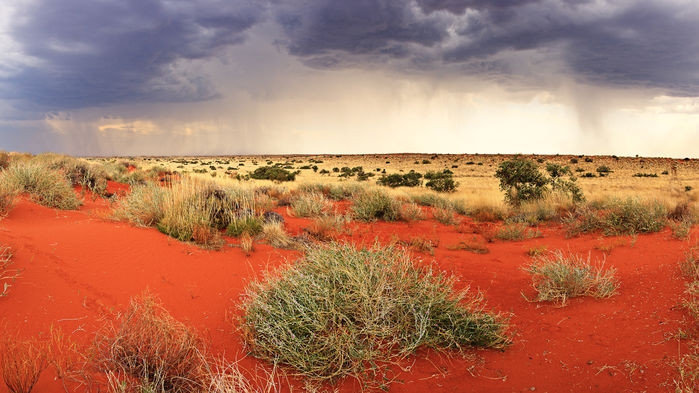 Đây được coi là nơi hình thành nền văn hóa phong phú, sinh động trải dài ít nhất 50.000 năm của thổ dân. Vào bất kì mùa nào trong năm Red Centre cũng mang một vẻ đẹp riêng. Đặc biệt đến với sa mạc Red Centre vào mùa thu, du khách sẽ được đắm mình trong khung cảnh đẹp với thảm thực vật đầy màu sắc, cảm nhận vẻ đẹp hùng vĩ của thiên nhiên Úc.