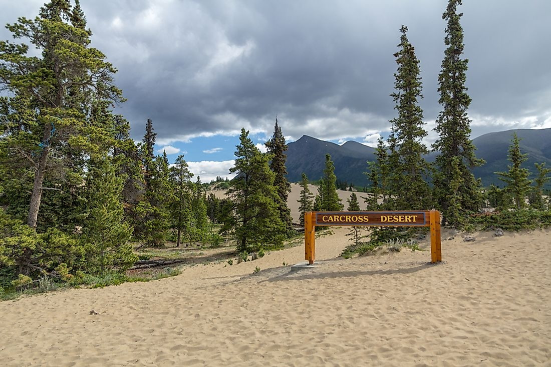 Sa mạc nhỏ nhất thế giới - Carcross, Canada: Với diện tích siêu khiêm tốn, Carcross là sa mạc nhỏ nhất thế giới. Nó tọa lạc ngay giữa khu vực núi non xanh tốt của Yukon, Canada. Và thay vì là nơi vắng bóng người, sa mạc này lại là sân chơi giải trí rất được ưa chuộng. 