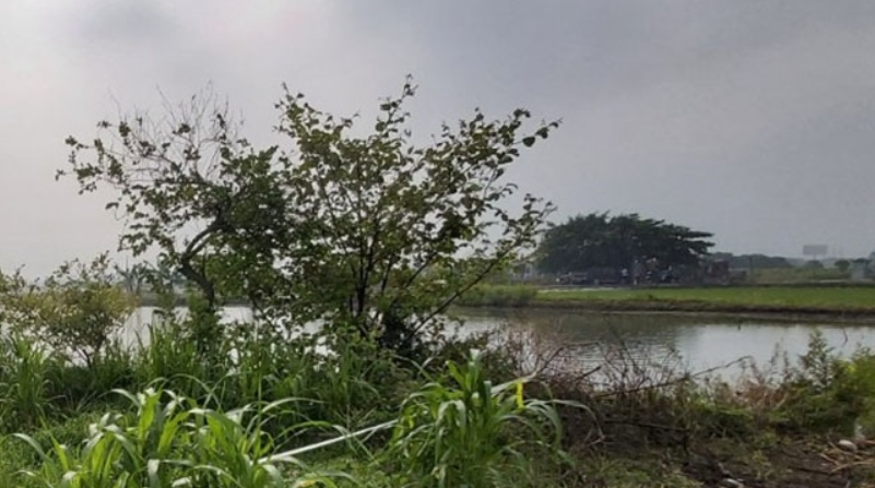  Tưởng trộm đi kiểm tra, bị điện giật tử vong do hàng xóm giăng bẫy chuột: Ngày 19/7, anh T. (SN 1973, ở huyện Gia Lộc, Hải Dương) nghe thấy tiếng chó của nhà sủa mạnh. Nghĩ là có trộm, anh T. liền cầm đèn pin và một ống nước bằng nhựa đi kiểm tra thì bị điện giật tử vong. Nguyên nhân do nhà hàng xóm giăng bẫy chuột bằng dây điện. 