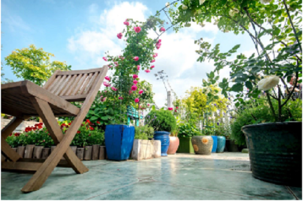 Nguoi phu nu 45 tuoi bien mai nha thanh khu vuon an tuong-Hinh-8