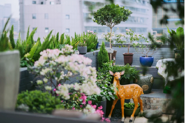 Nguoi phu nu 45 tuoi bien mai nha thanh khu vuon an tuong-Hinh-4