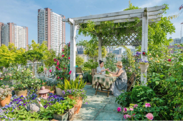 Nguoi phu nu 45 tuoi bien mai nha thanh khu vuon an tuong-Hinh-2