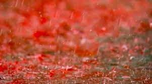 Một số nhà khoa học ở Tây Ban Nha đã tiến hành thu thập các mẫu nước và kiểm tra thành phần. Theo đó, họ phát hiện "mưa máu" chứa đầy tảo nước ngọt cực nhỏ, có tên gọi Haematococcus pluvialis.