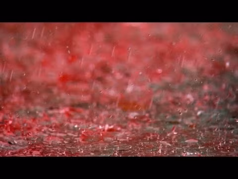 Loại tảo trên sẽ sản sinh ra chất nhuộm màu đỏ khi chúng bị căng thẳng. Các vi khuẩn trong họ Chromatiaceae được cho là có thể đã khiến nước có màu đỏ như máu mà nhiều người nhìn thấy trong cơn mưa đặc biệt như trên.