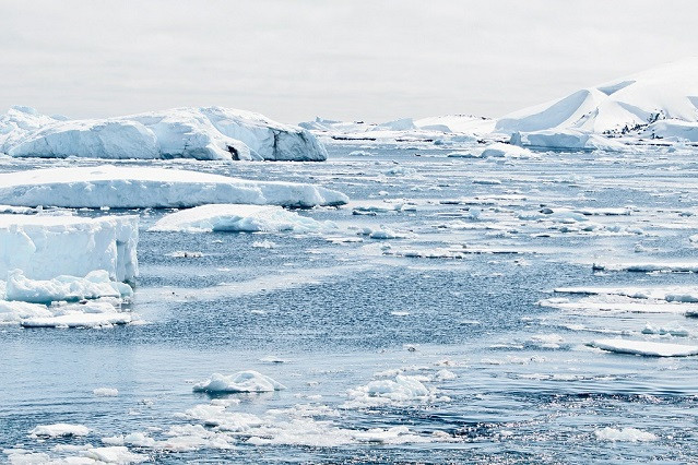 Nhờ đó, các chuyên gia có phát hiện bất ngờ. Thông qua máy ảnh nhỏ được thả xuống lỗ khoan trên, họ nhận thấy có những động vật chân đốt, sinh vật nhỏ cùng dòng giống như tôm hùm, cua và ve sinh sống ở dòng sông.