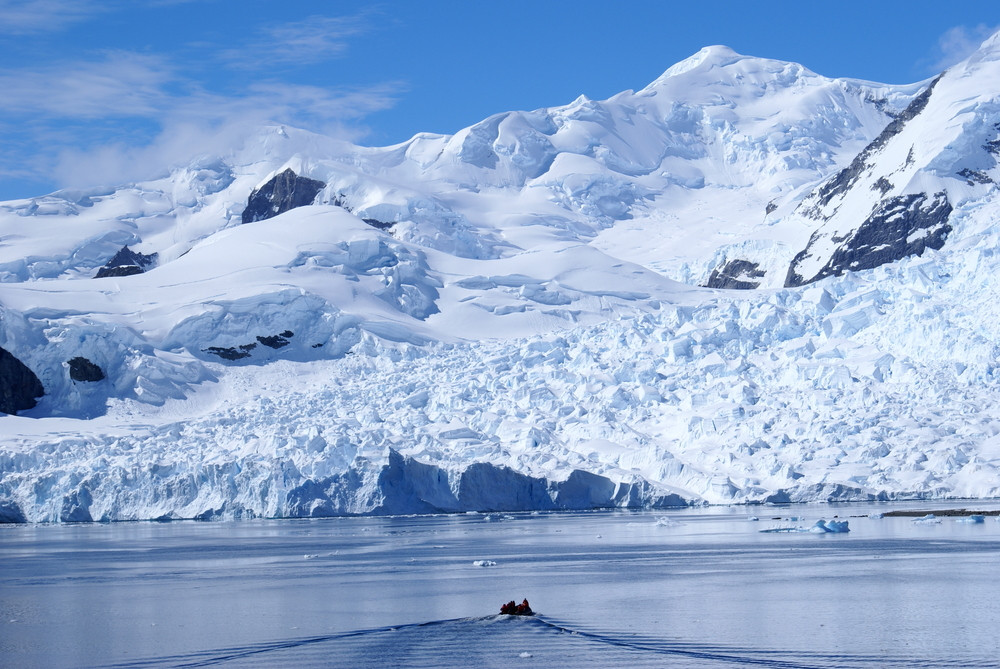 Với việc phát hiện hệ sinh thái phong phú bên dưới Nam Cực, các chuyên gia suy đoán những loài sinh vật đó có thể tồn tại được ở môi trường khắc nghiệt này là nhờ chất carbon hữu cơ được sản xuất do vi khuẩn cổ và vi khuẩn hiếu khí sử dụng các hợp chất amoni, nitrit và lưu huỳnh.