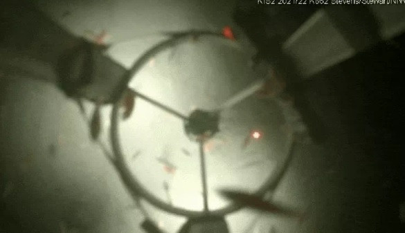 Cụ thể, các chuyên gia có phát hiện quan trọng trên tại một cửa sông ở khu vực Thềm băng Ross - thềm băng lớn nhất của Nam Cực giao với đất liền.